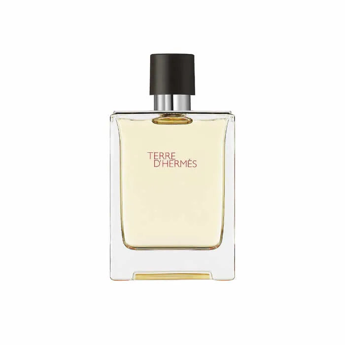 Hermès Terre d’Hermès Eau de Toilette Vaporizador 100 ml